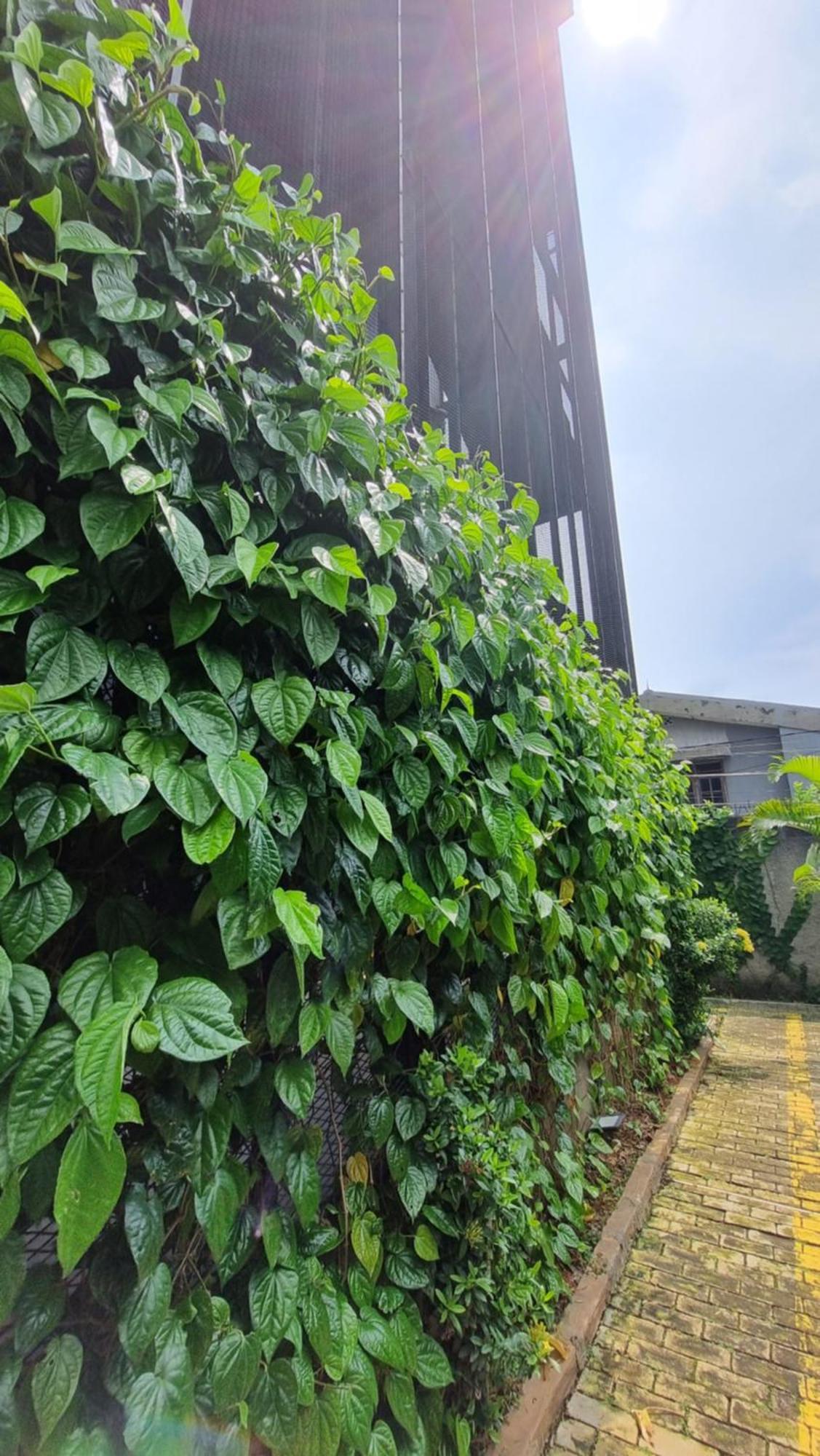 Guest House 555 Nki South Tangerang Exterior photo